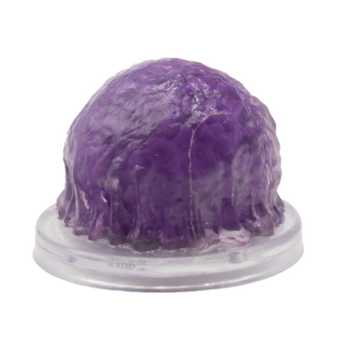 Purple Worm Eggs - Dragonlance - Shadow of the Dragon Queen #17